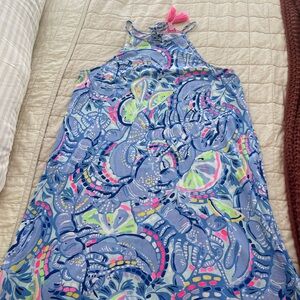 Lilly Pulitzer Blue and Pink Patterned Margot Dress size large